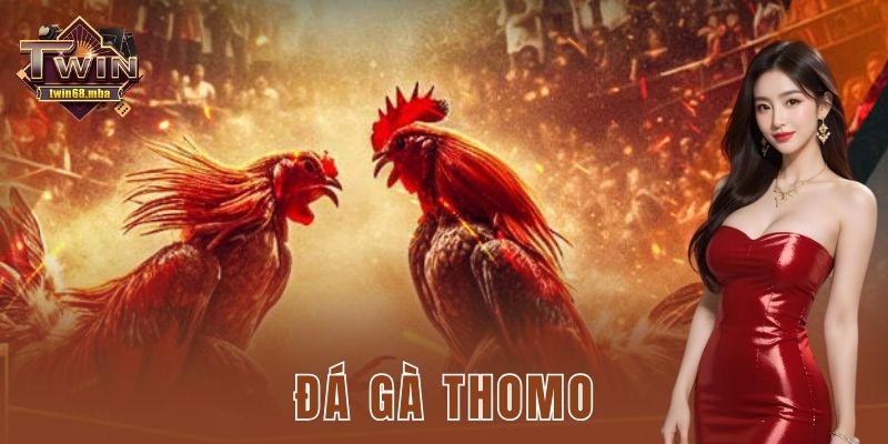 Đá gà thomo Twin68